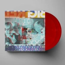 Vinyl HOW LONG DO YOU THINK IT'S GONNA LAST?