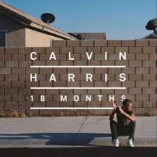 Vinyl 18 Months