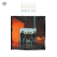 Vinyl WHAT'S LEFT