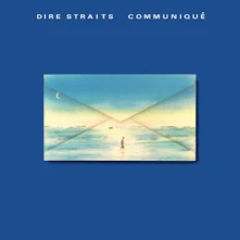 Vinyl COMMUNIQUE