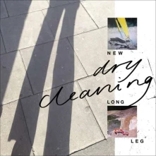 Vinyl NEW LONG LEG