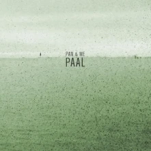 Vinyl PAAL