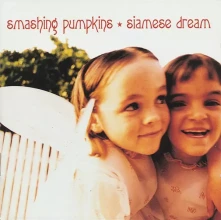 Vinyl Siamese Dream