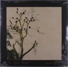 Vinyl CHAPEL GLASS