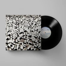 Vinyl FLOOD