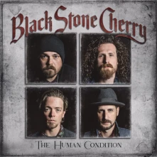 CD HUMAN CONDITION