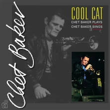 Vinyl Cool Cat