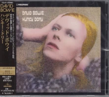 CD HUNKY DORY