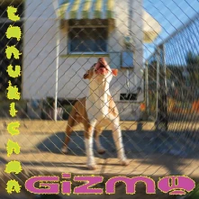CD GIZMO