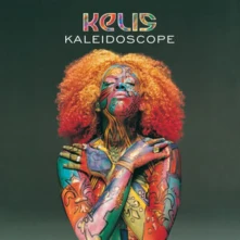 Vinyl Kaleidoscope (25th Anniversary Edition) (Green Vinyl)