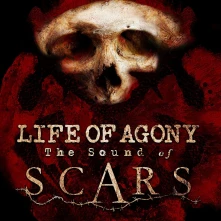 CD SOUND OF SCARS