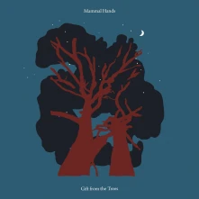CD GIFT FROM THE TREES