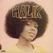 Vinyl ROCK BAND - MALIK