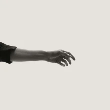 CD LIMBS