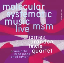 CD MSM: MOLECULAR SYSTEMATIC MUSIC