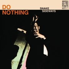 CD SNAKE SIDEWAYS