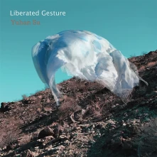 CD LIBERATED GESTURE