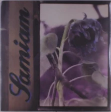 Vinyl SAMIAM