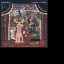 James Yorkston, Vinyl I WAS A CAT IN A BOOK -10"-