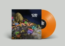 Vinyl REST LURKS
