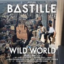 CD WILD WORLD/DELUXE