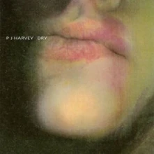 CD DRY