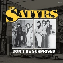 Vinyl DON'T BE SURPRISED