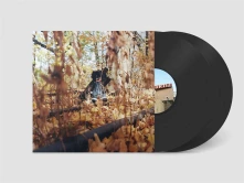 Vinyl GOLLIWOG