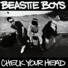 Beastie Boys, CD CHECK YOUR HEAD