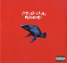Waterparks, Vinyl INTELLECTUAL PROPERTY