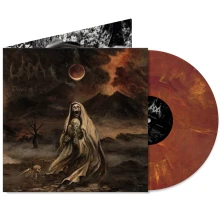 Vinyl DEVOID OF LIGHT
