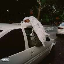 Vinyl NEGRO SWAN