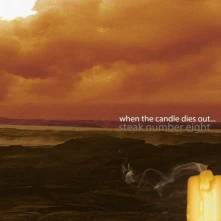 Vinyl WHEN THE CANDLE DIES OUT