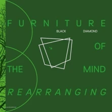 Vinyl FURNITURE OF THE MIND REARRANGING