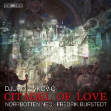 CD NORRBOTTEN NEO / FREDRIK - CITADEL OF LOVE
