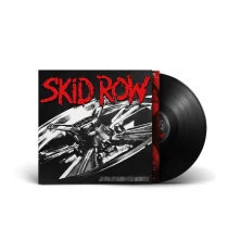 Vinyl Revolutions Per Minute