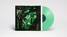 Vinyl BIRDBRAIN