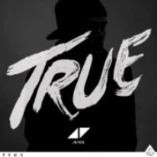 Avicii, Vinyl TRUE
