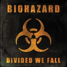 CD DIVIDED WE FALL