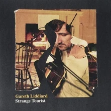 Vinyl STRANGE TOURIST