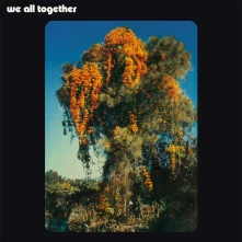 Vinyl WE ALL TOGETHER - WE ALL TOGETHER
