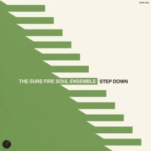 Vinyl STEP DOWN