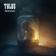 Tulus, CD Morbid Desires