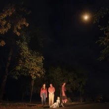 The Ophelias, Vinyl SPRING GROVE