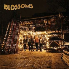 CD BLOSSOMS