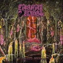 CD Embalmed In Decay