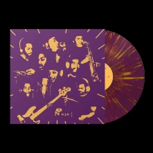 Vinyl Mind & Matter - 1514 Oliver Avenue (Purple/Gold)