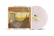 Vinyl ACCESS ALL AREAS