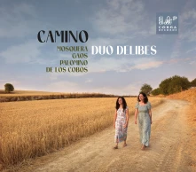 CD CAMINO