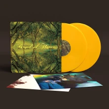 Vinyl EVERYTHING ALL THE TIME